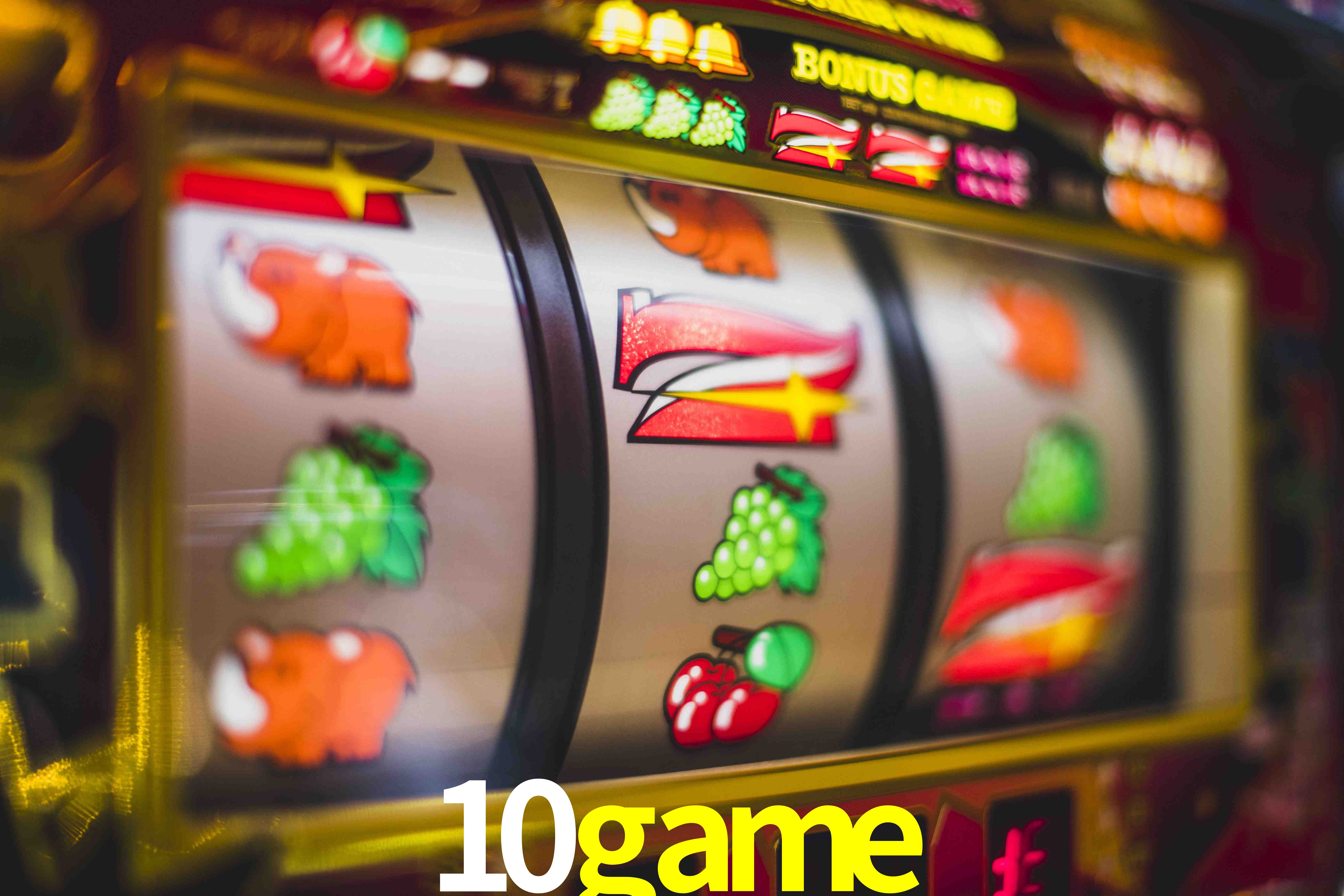 Basketball Betting 10game